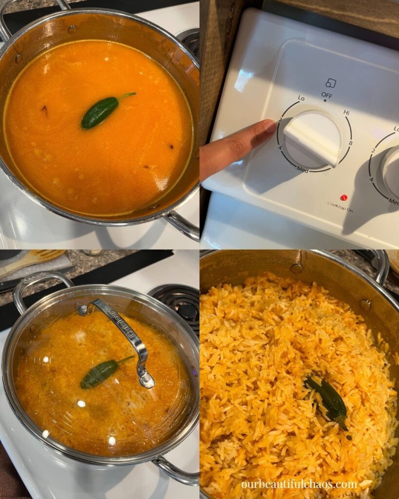 Dairy-Free Simple Mexican Rice Recipe!