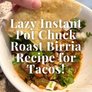 Lazy Instant Pot Chuck Roast Birria Recipe for Tacos!
