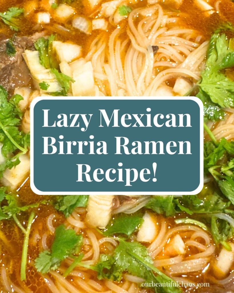 Lasy Mexican Birria Ramen Recipe!