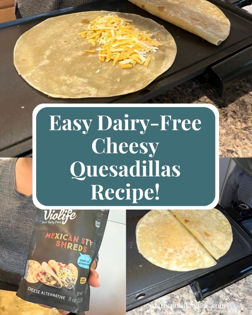 Easy Dairy-Free Cheesy Quesadillas Recipe!