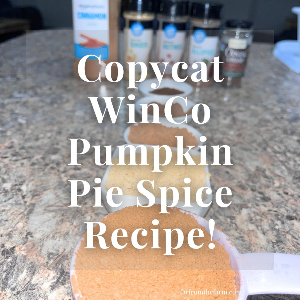 Copycat WinCo Pumpkin Pie Spice Recipe (Big Batch!) by Far From The Farm farfromthefarm.com blog